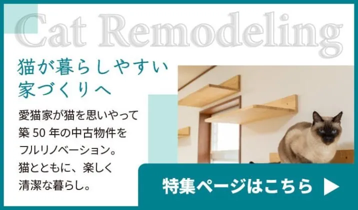 猫が暮らしやすい家づくりへ